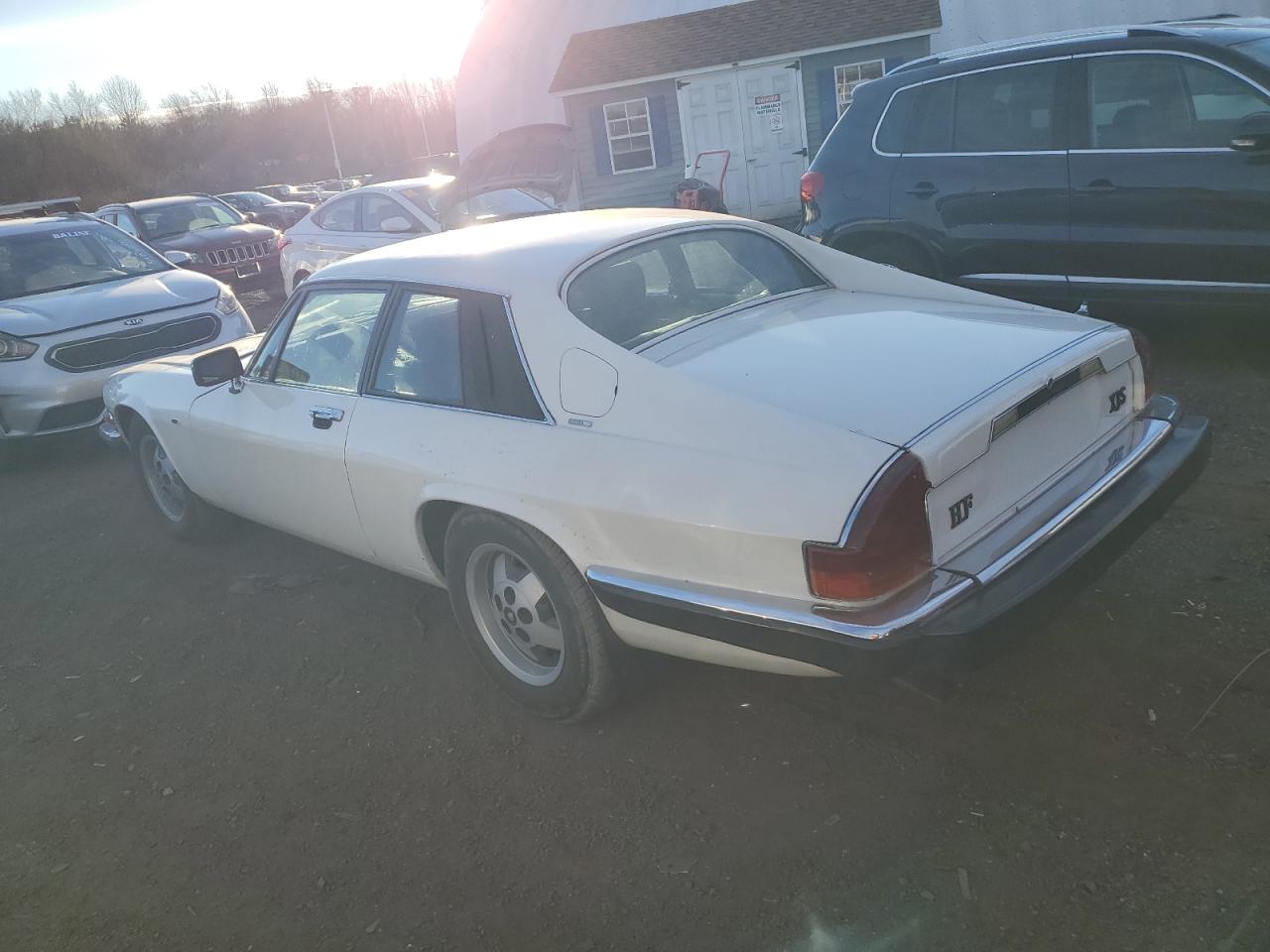 Lot #2993840668 1982 JAGUAR XJS