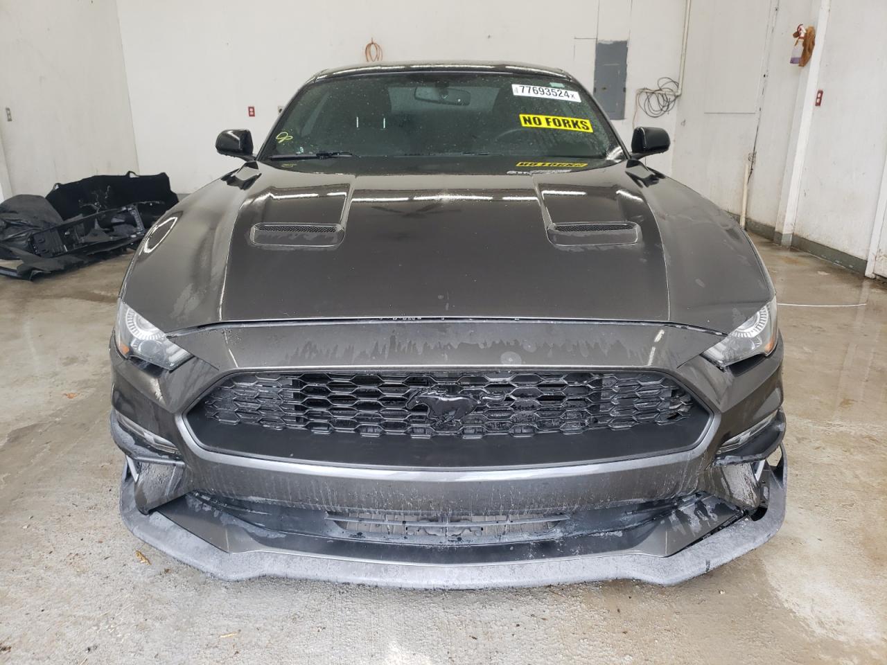 Lot #2974791147 2019 FORD MUSTANG