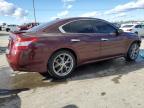 Lot #3024626675 2010 NISSAN MAXIMA S