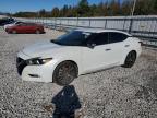 Lot #3024823373 2017 NISSAN MAXIMA 3.5