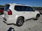 Lot #3024020233 2009 LEXUS GX 470