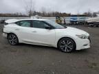 Lot #3025210620 2017 NISSAN MAXIMA 3.5