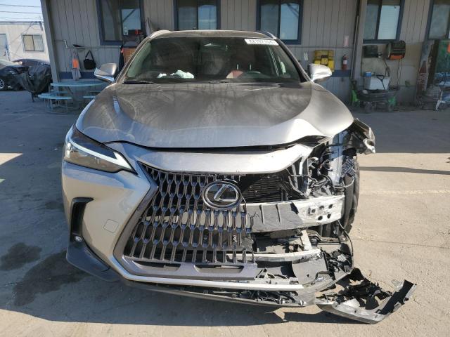 2023 LEXUS NX 250 2T2ADCAZ8PC003490