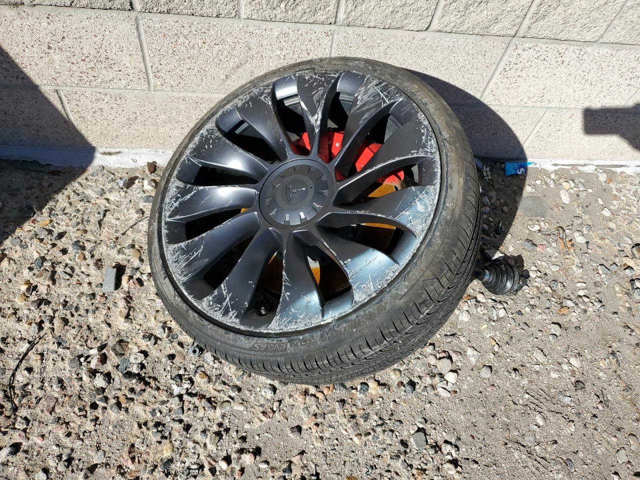 Lot #2955577513 2023 TESLA MODEL 3