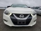 Lot #3025210620 2017 NISSAN MAXIMA 3.5