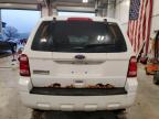 FORD ESCAPE XLS photo