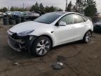 Lot #3033531094 2021 TESLA MODEL Y