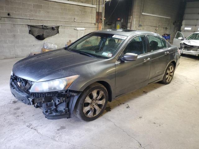 Vin: 1hgcp2f82aa083526, lot: 80732604, honda accord exl 2010 img_1