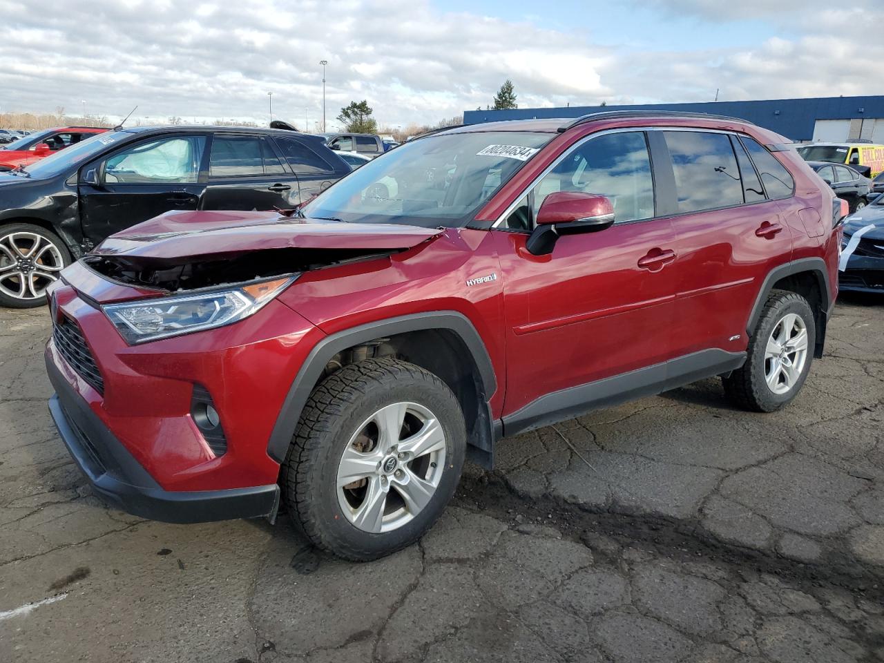 Lot #3036979736 2020 TOYOTA RAV4 XLE