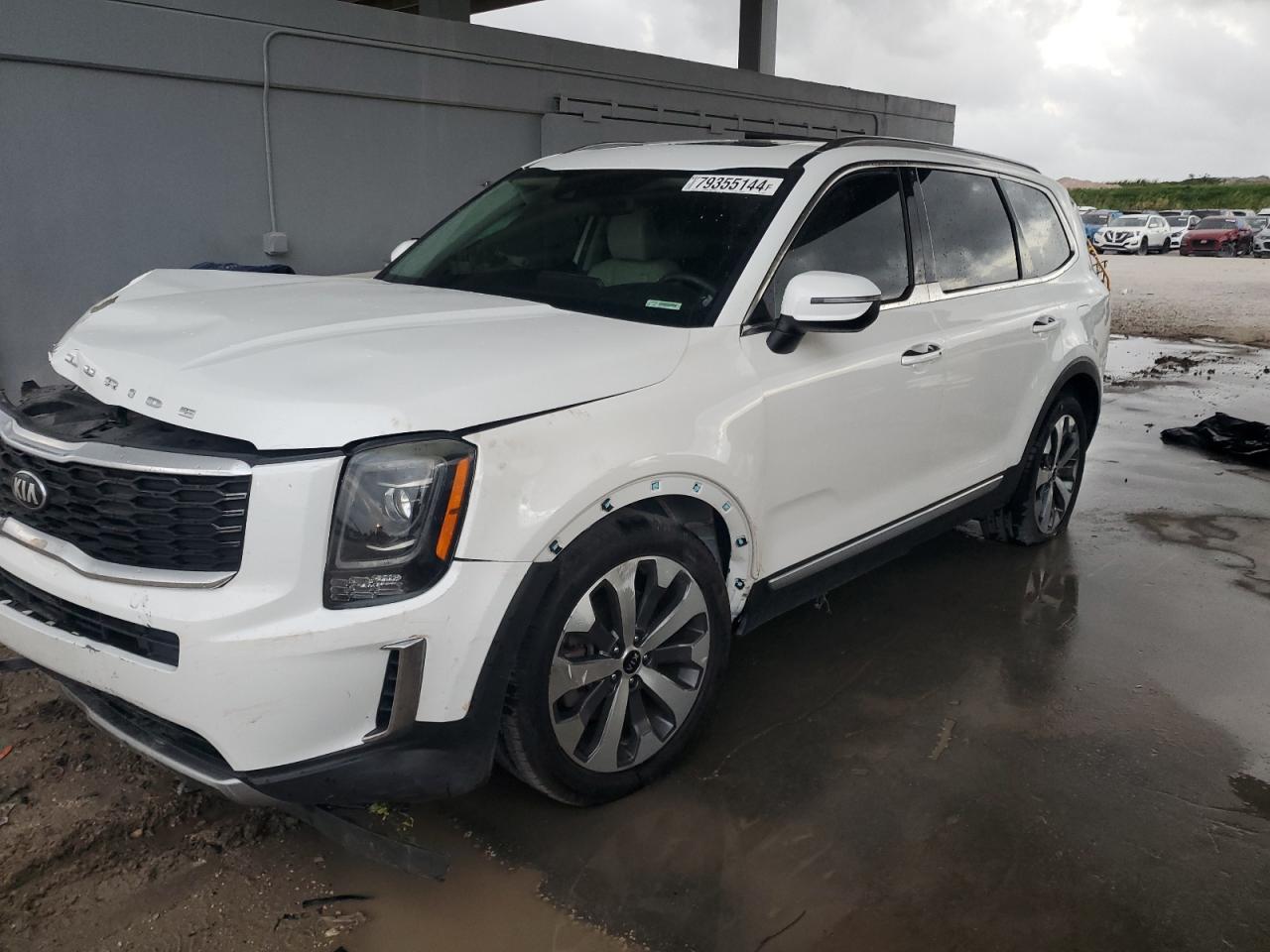 Lot #3023416341 2020 KIA TELLURIDE