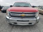 Lot #3023854832 2013 CHEVROLET SILVERADO