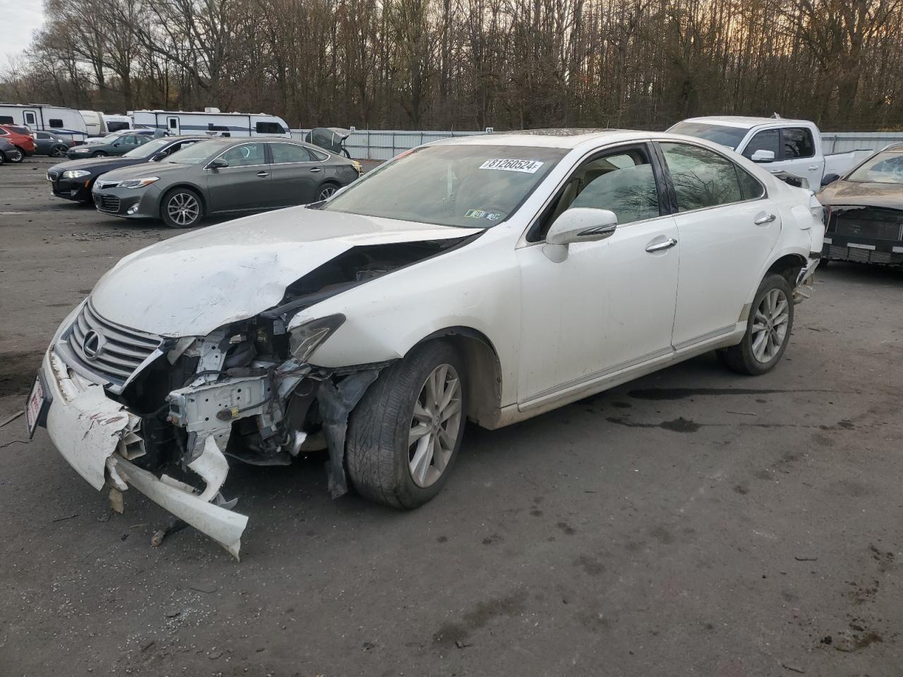 Lot #3034500742 2011 LEXUS ES 350