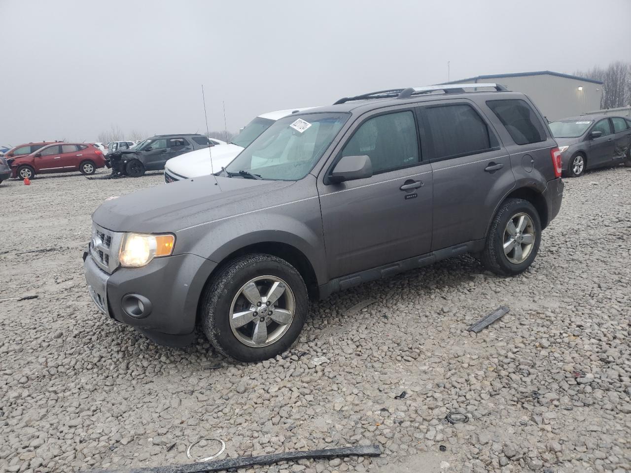 Lot #3005758123 2011 FORD ESCAPE LIM