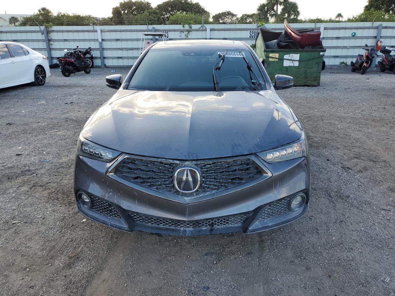 Lot #2976416005 2020 ACURA TLX TECHNO