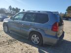 Lot #3006009756 2004 LEXUS GX 470