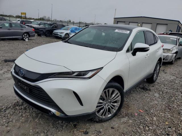 2024 TOYOTA VENZA LE #2952951791