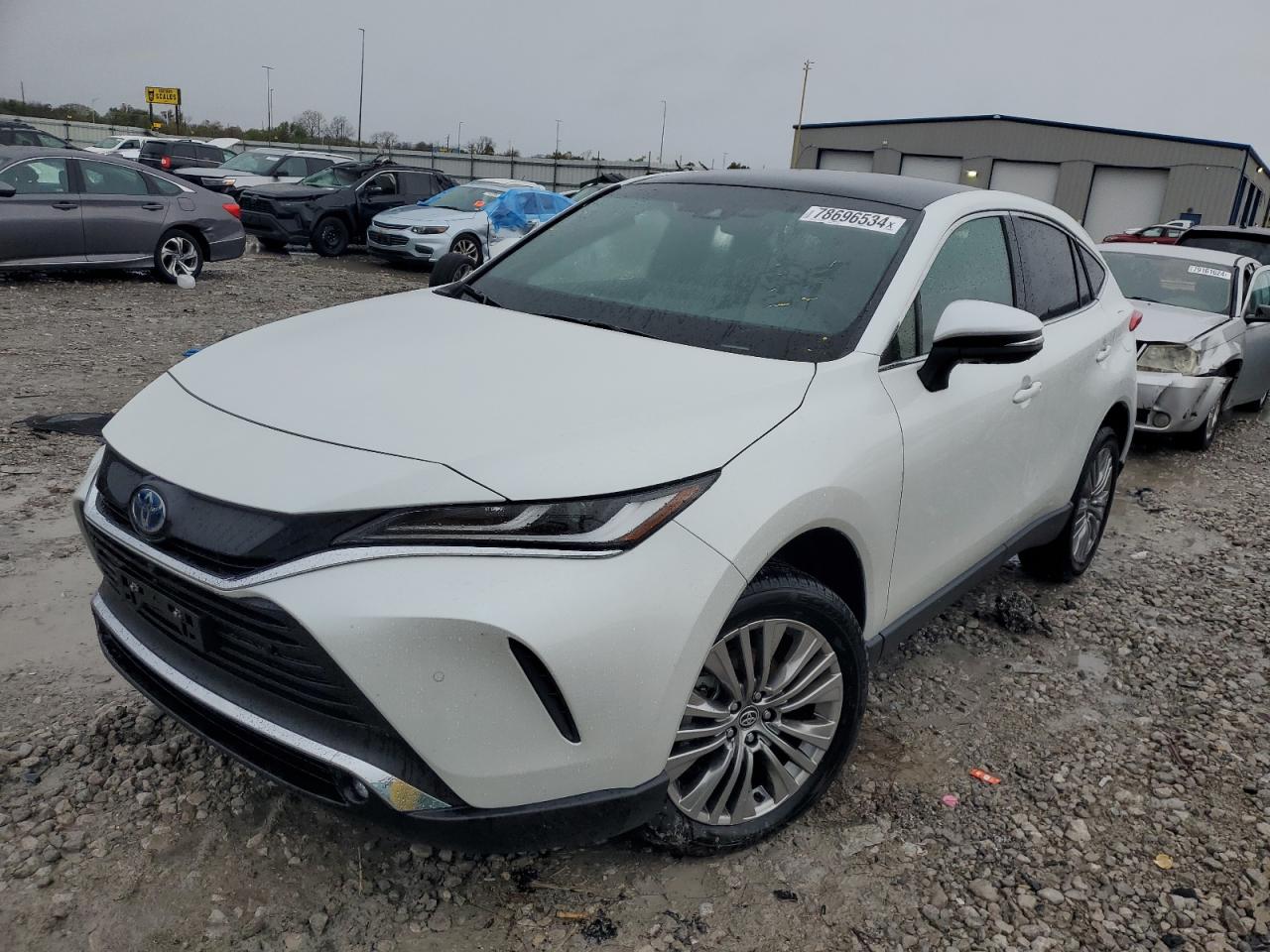 Lot #2952951791 2024 TOYOTA VENZA LE