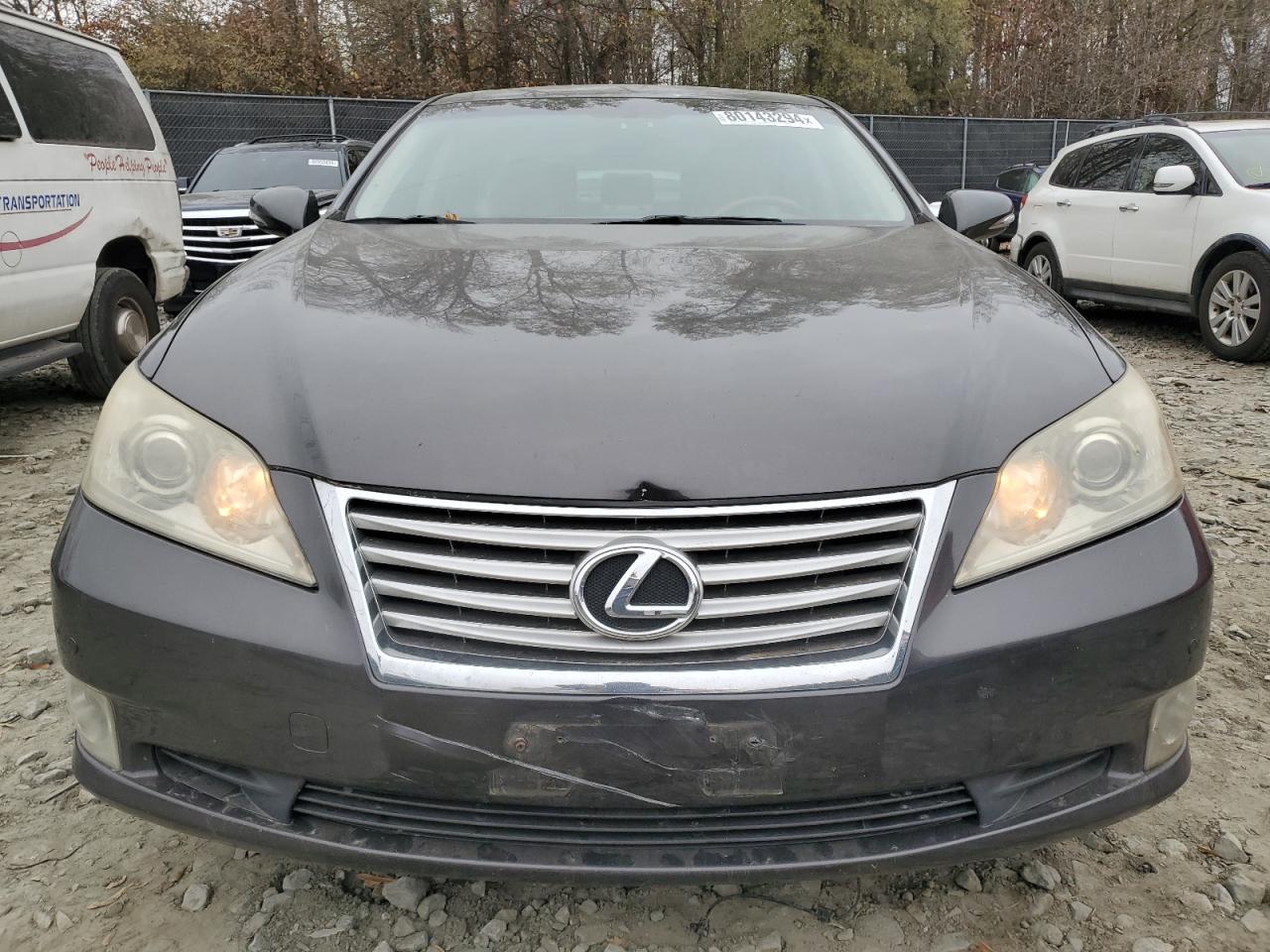 Lot #3022951358 2011 LEXUS ES 350