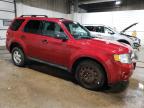 Lot #3027022769 2010 FORD ESCAPE XLT