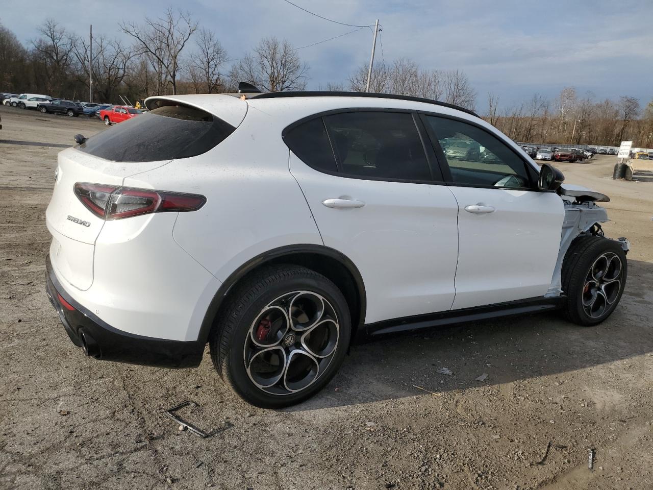 Lot #3034280083 2024 ALFA ROMEO STELVIO TI