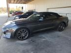 2019 FORD MUSTANG - 1FATP8UH6K5159608