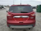 Lot #3024733275 2014 FORD ESCAPE TIT