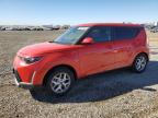 Lot #3028307798 2024 KIA SOUL LX