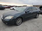 Lot #2986239182 2007 LEXUS ES 350