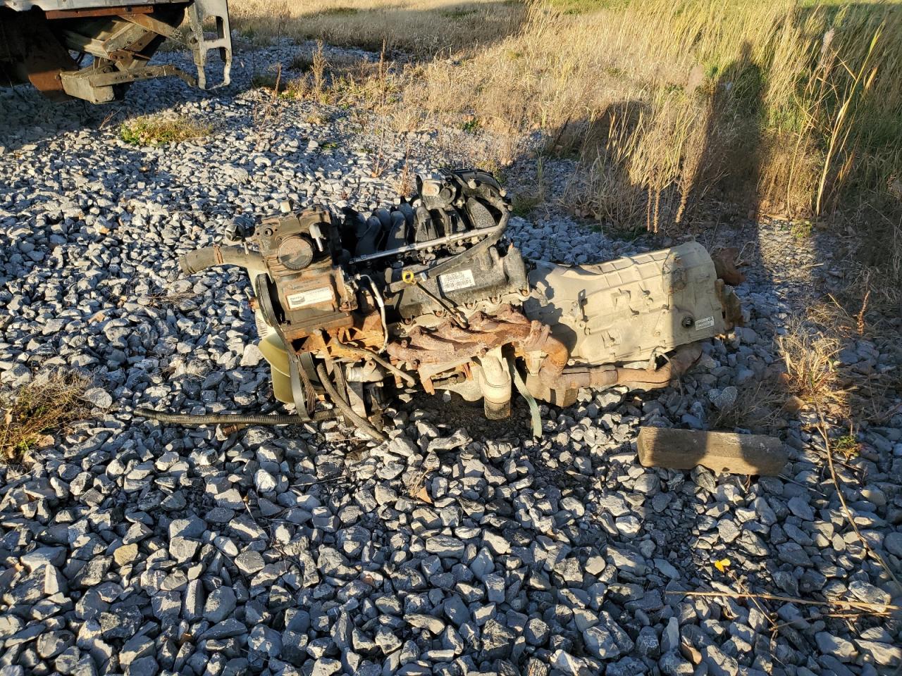 Lot #2970046522 2021 BLUE BIRD SCHOOL BUS