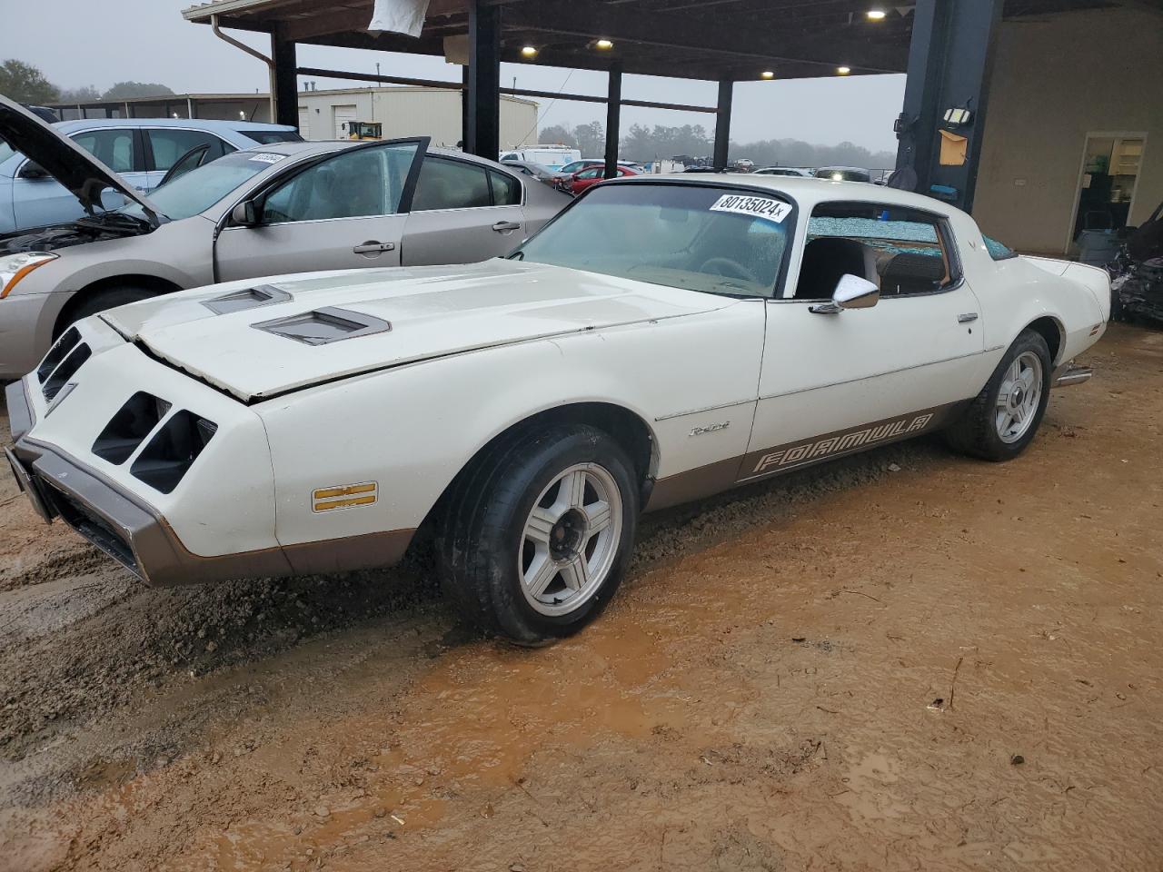 Lot #2991431875 1979 PONTIAC FIREBIRD