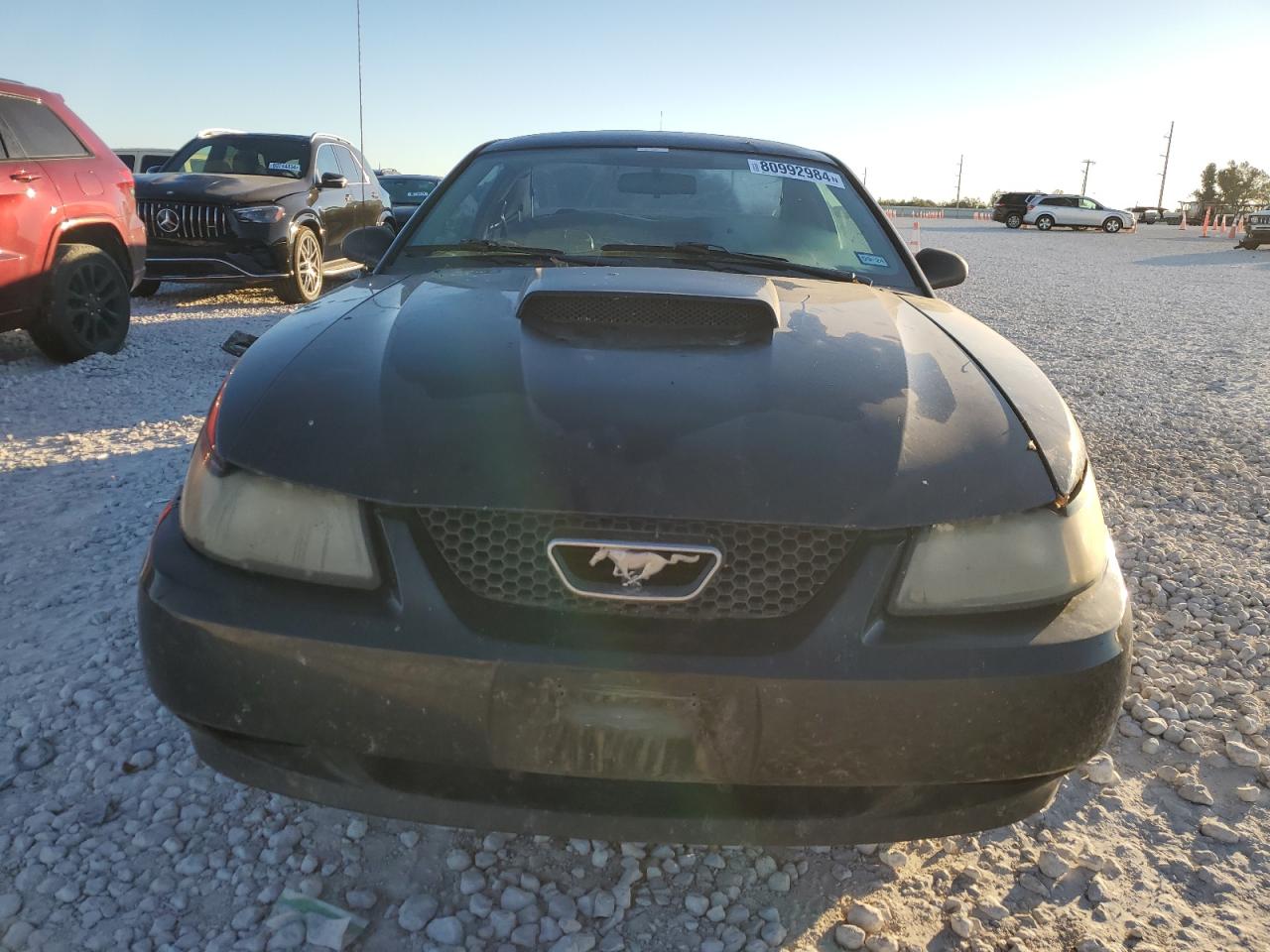 Lot #2982356295 2002 FORD MUSTANG GT