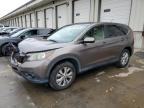 HONDA CR-V EX photo