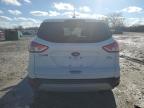 Lot #3023621262 2016 FORD ESCAPE SE