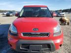 KIA SOUL + photo