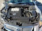 Lot #3023643940 2007 NISSAN MAXIMA SE