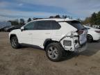 Lot #3023984252 2024 TOYOTA RAV4 XLE