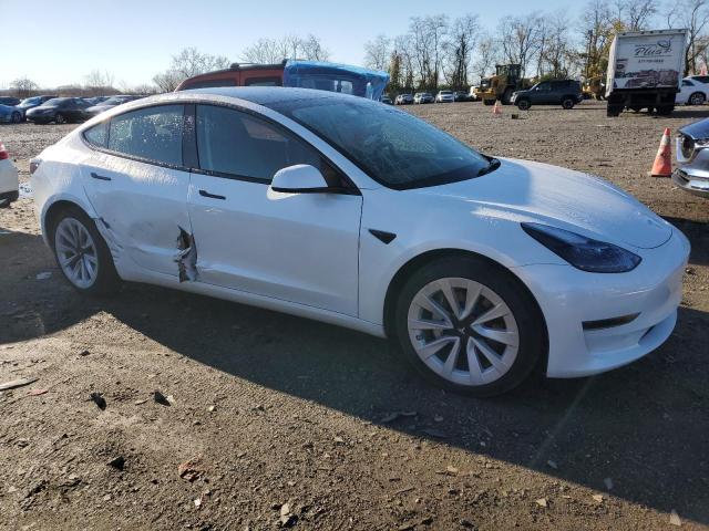 2023 TESLA MODEL 3 - 5YJ3E1EA3PF450677