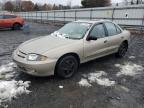 Lot #3004169958 2004 CHEVROLET CAVALIER