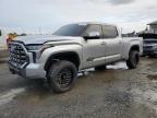 2023 TOYOTA TUNDRA CRE - 5TFNA5EC1PX018253