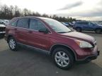 HONDA CR-V EX photo