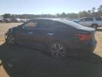 Lot #3033429091 2017 NISSAN MAXIMA 3.5