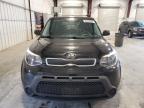 KIA SOUL photo