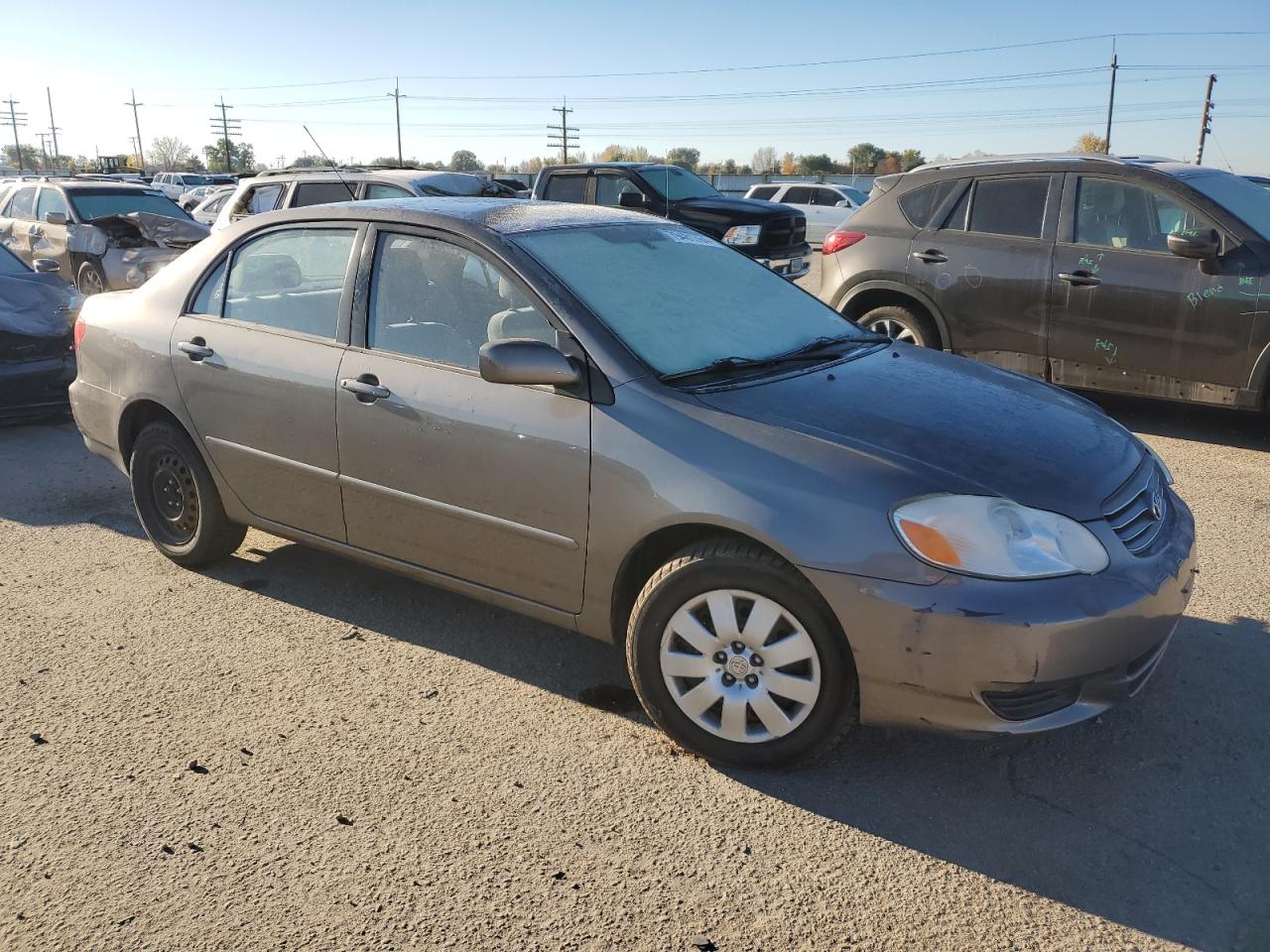 Lot #2969949879 2004 TOYOTA COROLLA CE