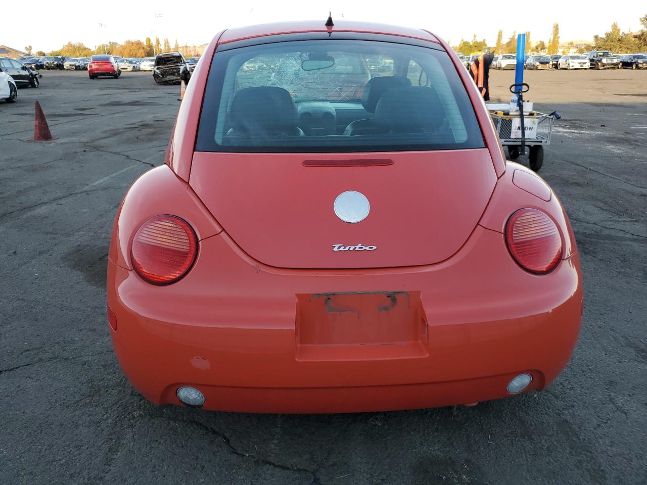 Lot #3024131818 2003 VOLKSWAGEN NEW BEETLE