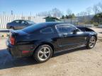 Lot #3006721363 2006 FORD MUSTANG