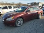 Lot #3022778356 2013 NISSAN MAXIMA S