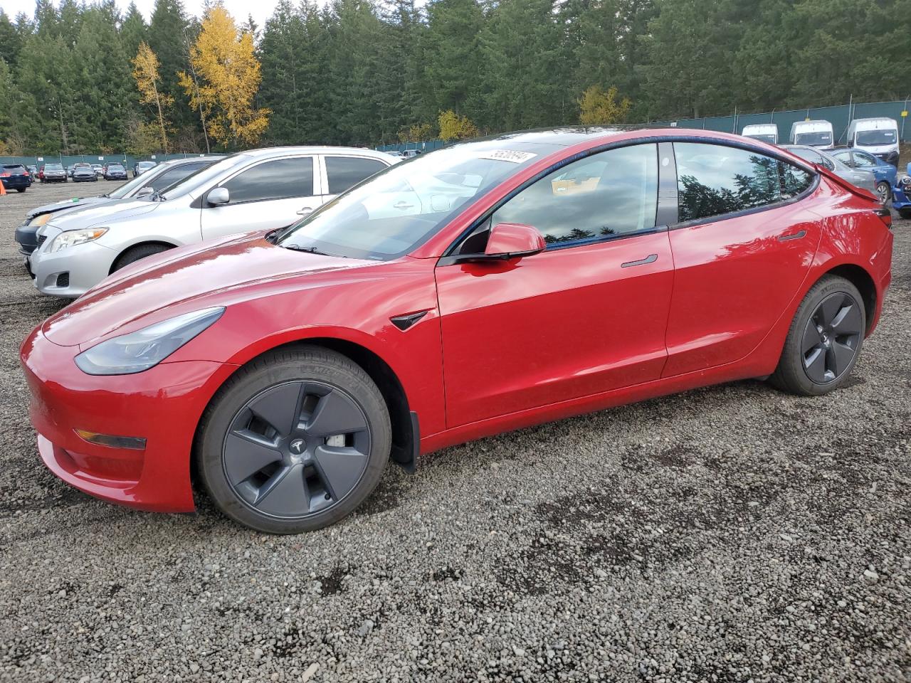 Lot #2986948972 2023 TESLA MODEL 3