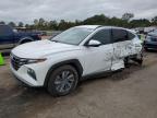 2023 HYUNDAI TUCSON BLU - KM8JBCA12PU116855