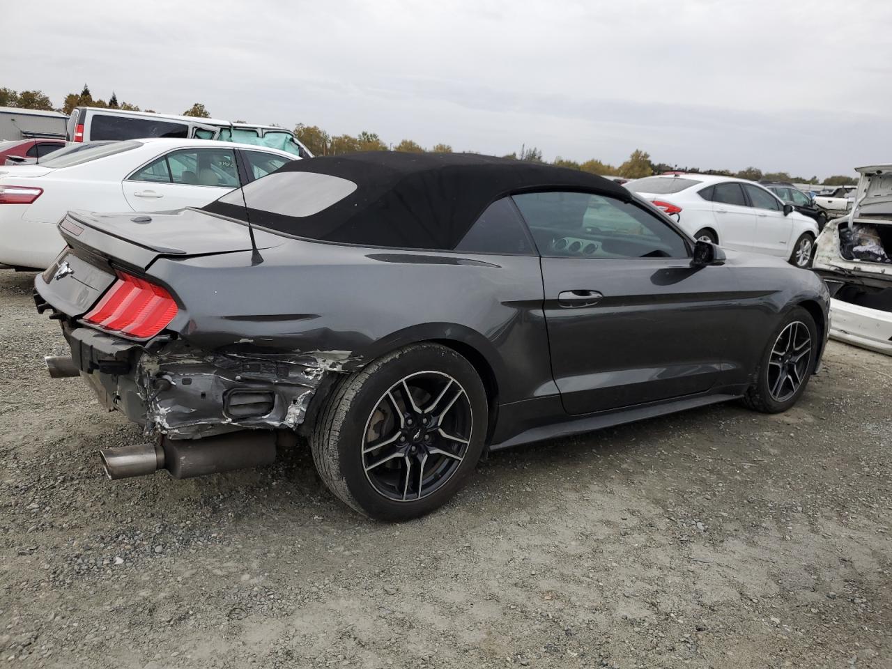 Lot #3037873266 2019 FORD MUSTANG