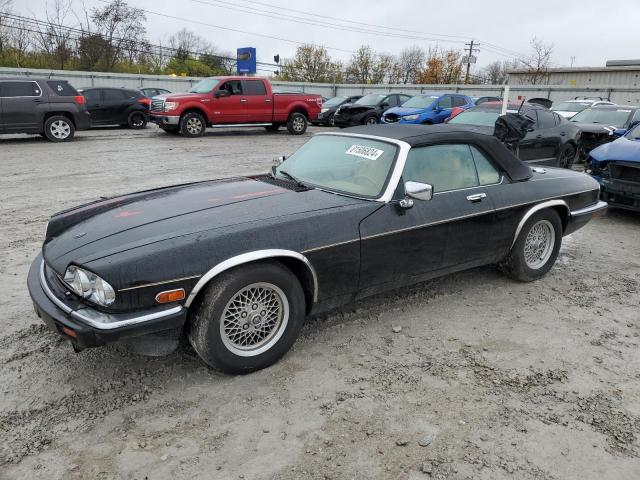 JAGUAR XJS 1992 black  gas SAJNW484XNC180260 photo #1